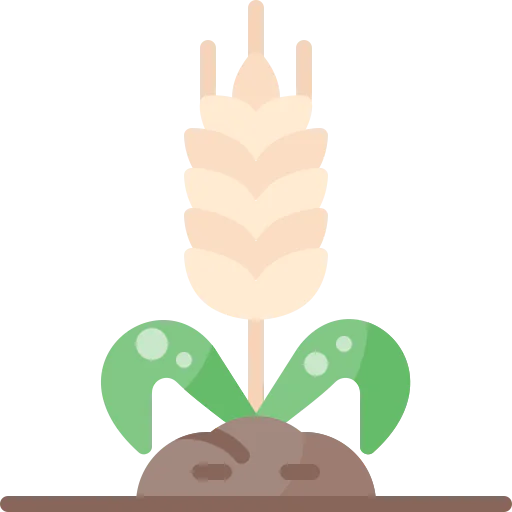 Wheat icon