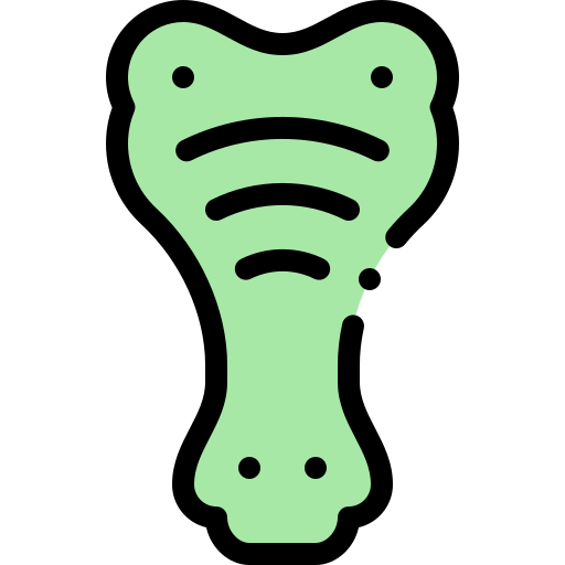 Crocodile ícono