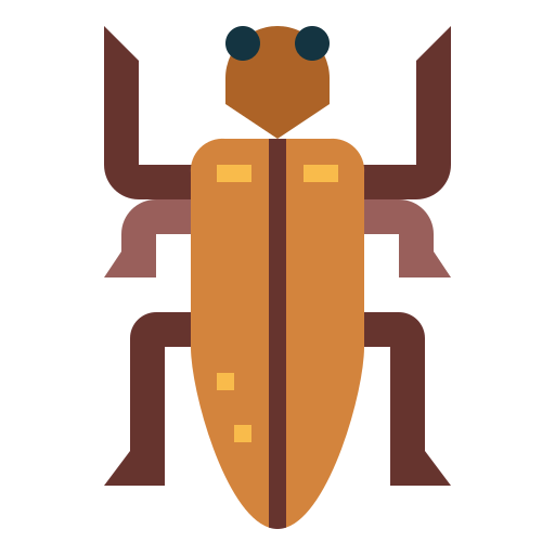 Beetle icon