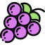 Grapes 图标 64x64