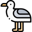 Seagull Symbol 64x64