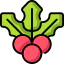 Mistletoe icon 64x64