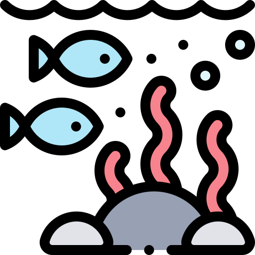 Sealife icon
