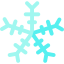 Snowflake icon 64x64