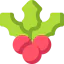 Mistletoe 图标 64x64