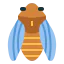 Cicada icon 64x64