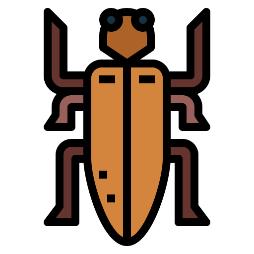 Beetle icon