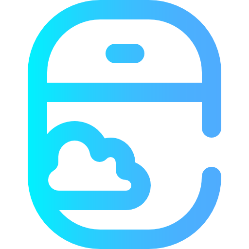 Window icon