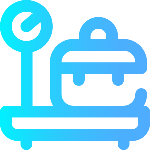 Scale icon