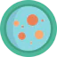 Petri dish 图标 64x64