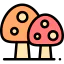 Mushrooms icon 64x64