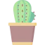 Cactus icon 64x64
