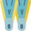 Flippers icon 64x64