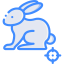 Rabbit icon 64x64