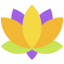 Lotus 图标 64x64