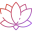 Lotus icon 64x64