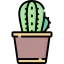 Cactus ícone 64x64