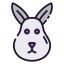 Rabbit icon 64x64