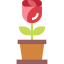 Роза иконка 64x64