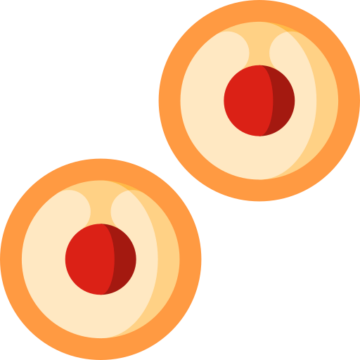 Longan icon
