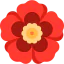Rose icon 64x64