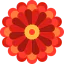 Chrysanthemum icon 64x64
