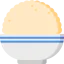 Rice icon 64x64