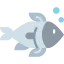 Salmon icon 64x64
