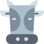 Cow icon 64x64