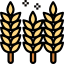 Wheat icon 64x64