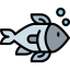 Salmon icon 64x64