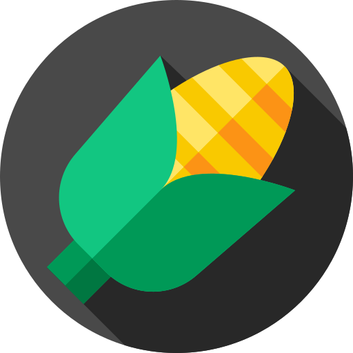 Corn icon