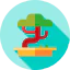 Bonsai 图标 64x64