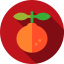 Orange 图标 64x64