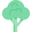 Broccoli icon 64x64
