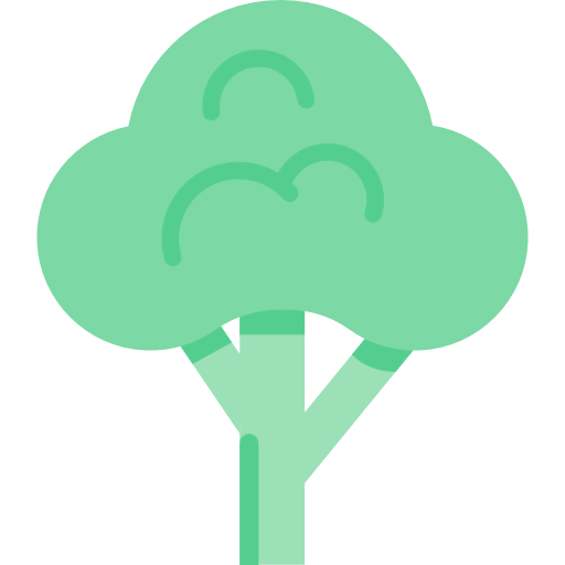 Broccoli icon