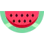 Watermelon icon 64x64