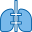 Lungs icon 64x64