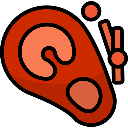 Beef icon
