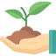 Sprout 图标 64x64
