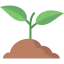 Sprout 图标 64x64