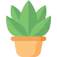 Plant 图标 64x64