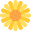 Sunflower 图标 64x64