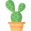 Cactus 图标 64x64