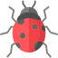 Ladybug 图标 64x64