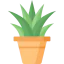 Plant 图标 64x64