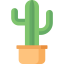 Cactus 图标 64x64