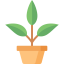 Plant 图标 64x64