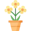 Flower 图标 64x64