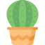 Cactus 图标 64x64
